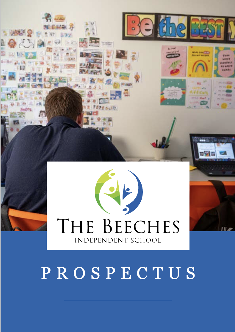 School Prospectus Preview PDF