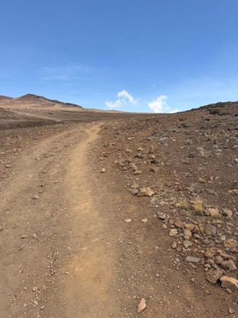Alpine desert