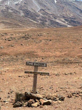The saddle area